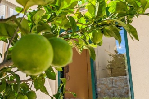 Дом с 3 спальнями в Ханья, Греция №23901 10