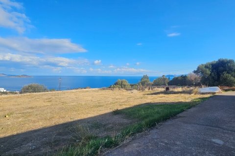 480m² House en Agios Nikolaos, Greece No. 120669 2