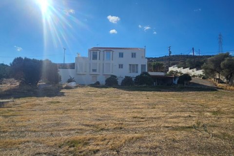 480m² House en Agios Nikolaos, Greece No. 120669 4