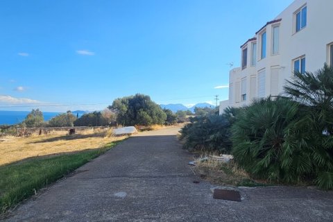 480m² House en Agios Nikolaos, Greece No. 120669 3