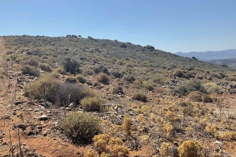 150000m² Land à Neapoli, Greece No. 108349 7