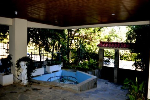 Коммерческая недвижимость с 6 спальнями в Вулиагмени, Греция №58776 12