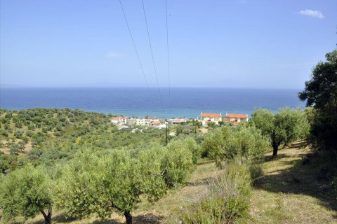 3750m² Land à Chalkidiki, Greece No. 60373 9