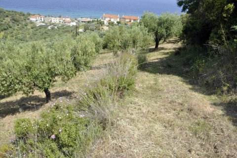 3750m² Land à Chalkidiki, Greece No. 60373 5