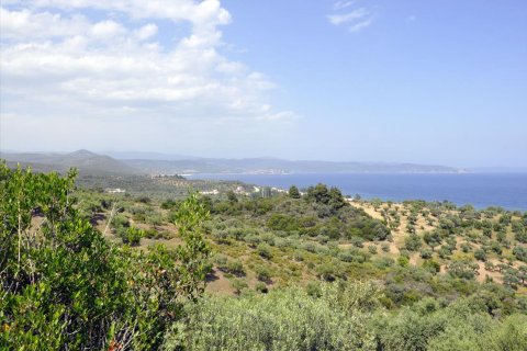 3750m² Land à Chalkidiki, Greece No. 60373 6