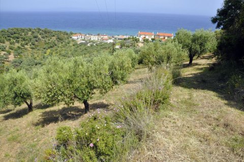 3750m² Land à Chalkidiki, Greece No. 60373 1