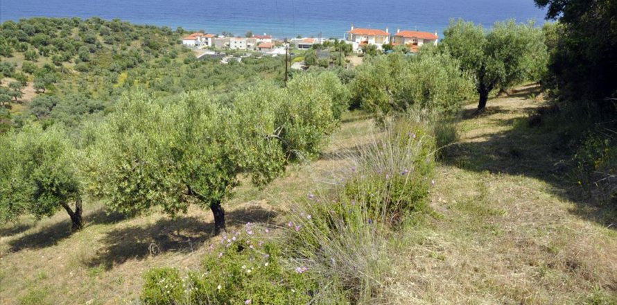 3750m² Land à Chalkidiki, Greece No. 60373