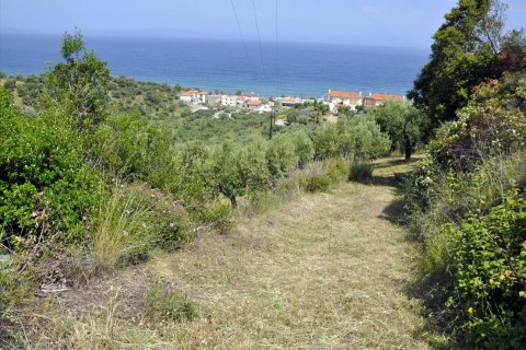 3750m² Land à Chalkidiki, Greece No. 60373 3