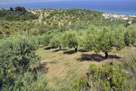 3750m² Land à Chalkidiki, Greece No. 60373 8