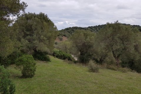 13289m² Land en Chalkidiki, Greece No. 109634 2