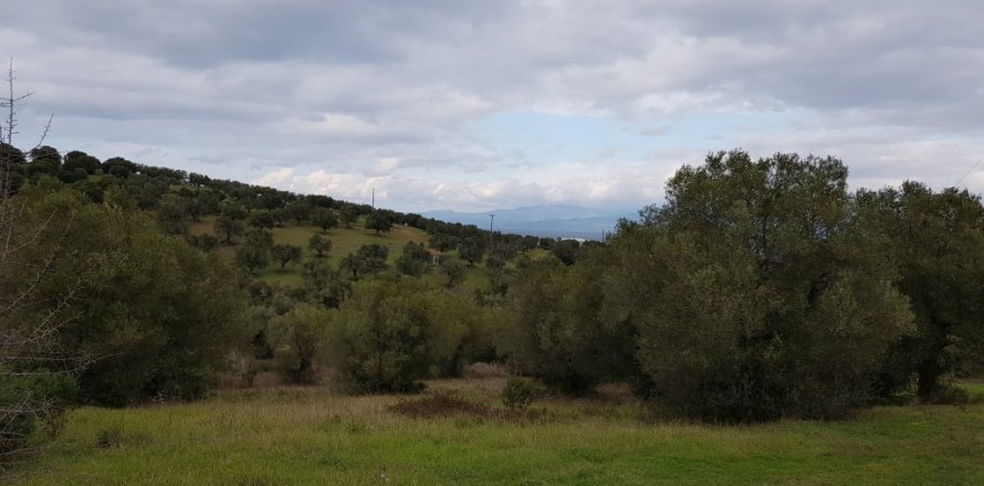 13289m² Land en Chalkidiki, Greece No. 109634