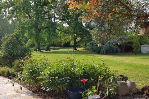 9 bedrooms Villa in Adainville, France No. 84194 27