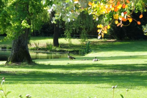 9 bedrooms Villa in Adainville, France No. 84194 29