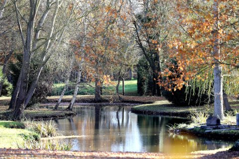9 bedrooms Villa in Adainville, France No. 84194 6