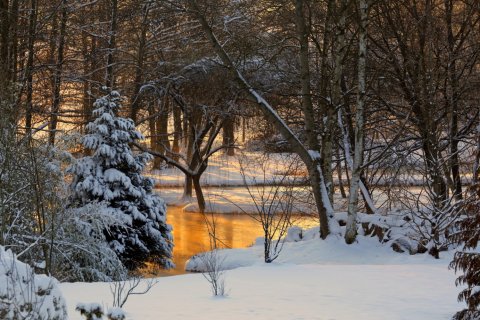 9 bedrooms Villa in Adainville, France No. 84194 15