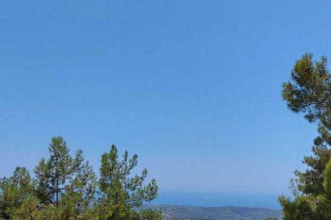 Commercial property en Sotira, Cyprus No. 42105 1