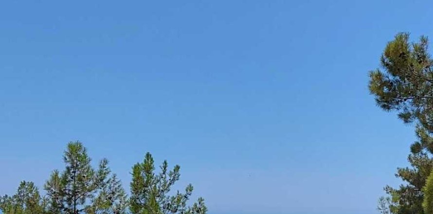 Commercial property en Sotira, Cyprus No. 42105