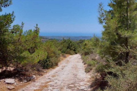 Commercial property en Sotira, Cyprus No. 42105 3