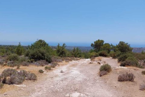 Commercial property en Sotira, Cyprus No. 42105 2