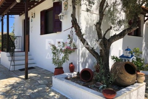 Вилла с 6 спальнями в Скиатос, Греция №64928 10