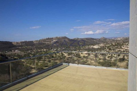 6 bedrooms House in Mesa Geitonia, Cyprus No. 63402 11