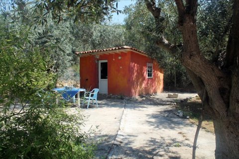 3 bedrooms Villa in Chalkidiki, Greece No. 108923 23