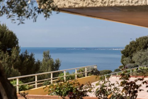 5 bedrooms Villa in Villefranche-sur-Mer, France No. 100292 5