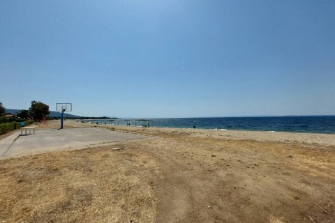 19000m² Land en Polygyros, Greece No. 54373 22