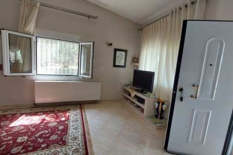 19000m² Land en Polygyros, Greece No. 54373 16