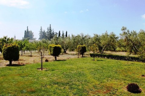 19000m² Land en Polygyros, Greece No. 54373 4