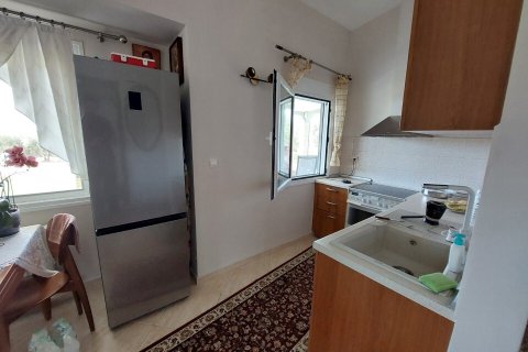 19000m² Land en Polygyros, Greece No. 54373 18