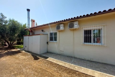 19000m² Land en Polygyros, Greece No. 54373 7