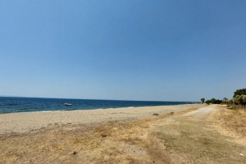 19000m² Land en Polygyros, Greece No. 54373 23