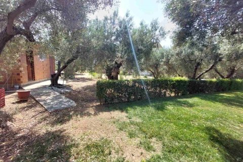 19000m² Land en Polygyros, Greece No. 54373 3