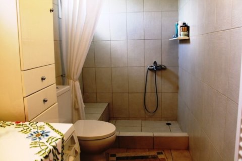 19000m² Land en Polygyros, Greece No. 54373 11