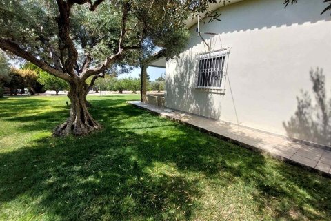 19000m² Land en Polygyros, Greece No. 54373 2