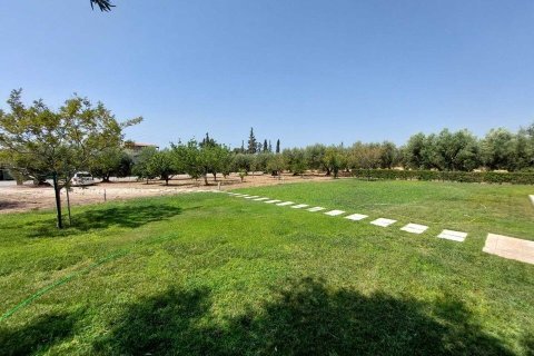 19000m² Land en Polygyros, Greece No. 54373 1