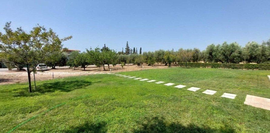 19000m² Land en Polygyros, Greece No. 54373