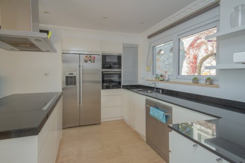 4 bedrooms Villa in Nong Ha, Vietnam No. 15965 17