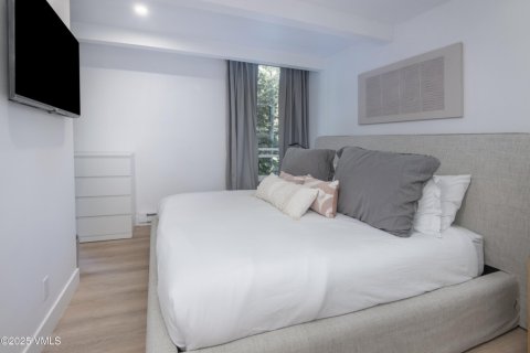 Кондоминиум  с 2 спальнями в Вейл, США №81120 14