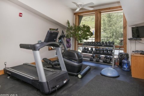 Кондоминиум  с 2 спальнями в Вейл, США №81120 23