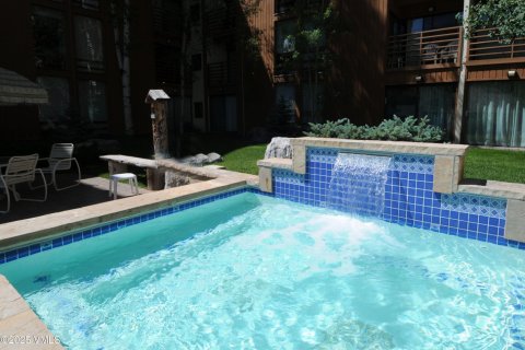 Кондоминиум  с 2 спальнями в Вейл, США №81120 28