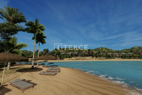 1 bedroom Apartment in Bao Thuan, Vietnam No. 13197 5