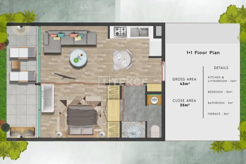 1 bedroom Apartment in Bao Thuan, Vietnam No. 13197 3