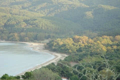 4785000m² Land in Chalkidiki, Greece No. 108701 23