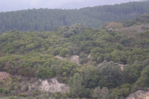 4785000m² Land in Chalkidiki, Greece No. 108701 19