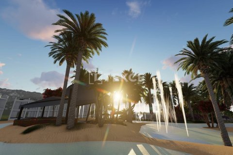 3 bedrooms Villa in Bao Thuan, Vietnam No. 11138 7