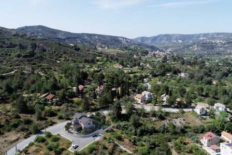 Дом с 5 спальнями в Тримиклини, Кипр №81338 11