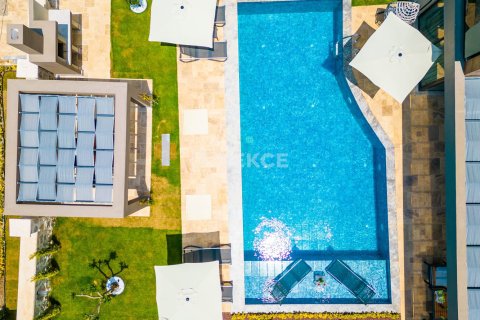 3 dormitorios Villa en Hoang An, Vietnam No. 14162 7