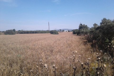 15000m² Land in Pylaia, Greece No. 58102 3